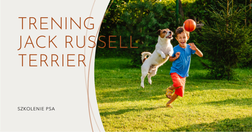 trening jack rusell terrier, szkolenie psa, na zdjęciu dziecko i pies